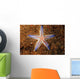 Close-up Sea Star Colorful Wall Decal