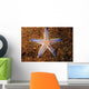 Close-up Sea Star Colorful Wall Decal