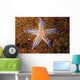 Close-up Sea Star Colorful Wall Decal