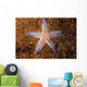 Close-up Sea Star Colorful Wall Decal