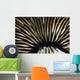 USA Close-up Mushroom Coral Wall Decal