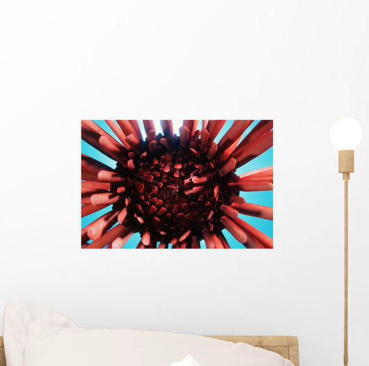 USA Wall Decal Design 1