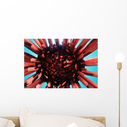 USA Wall Decal Design 1