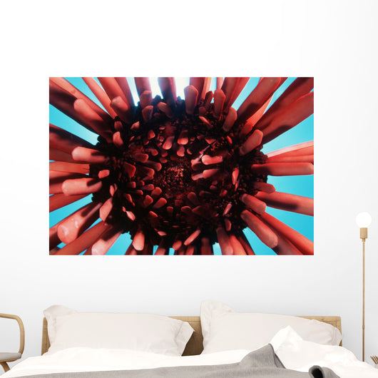USA Wall Decal Design 1