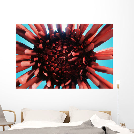 USA Wall Decal Design 1
