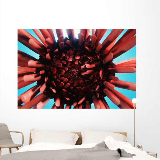 USA Wall Decal Design 1