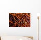 Close-up Red Seafan with Wall Decal