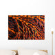 Close-up Red Seafan with Wall Decal
