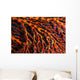 Close-up Red Seafan with Wall Decal