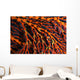 Close-up Red Seafan with Wall Decal