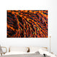 Close-up Red Seafan with Wall Decal