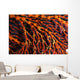 Close-up Red Seafan with Wall Decal