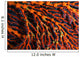 Close-up Red Seafan with Wall Decal