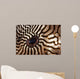 Malaysia Close-up Pufferfish Eye Wall Decal