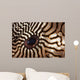 Malaysia Close-up Pufferfish Eye Wall Decal