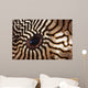Malaysia Close-up Pufferfish Eye Wall Decal