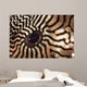 Malaysia Close-up Pufferfish Eye Wall Decal
