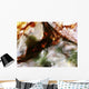 Colorful Reflections Water Wall Decal Design 3