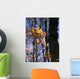 Tree Reflections Water Wall Decal Design 3