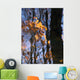 Tree Reflections Water Wall Decal Design 3