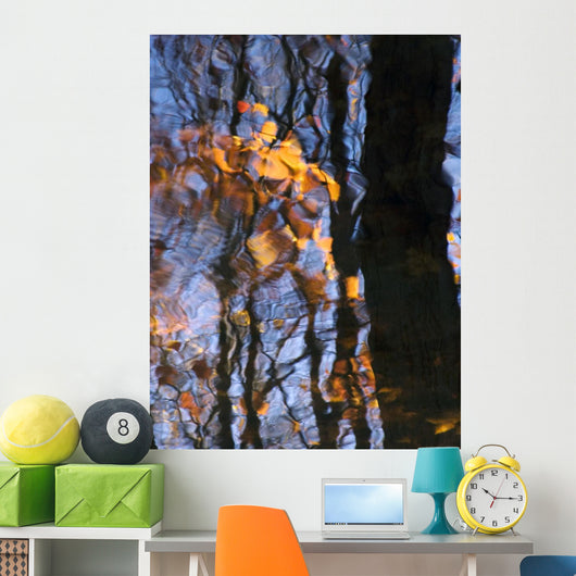 Tree Reflections Water Wall Decal Design 3