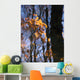 Tree Reflections Water Wall Decal Design 3