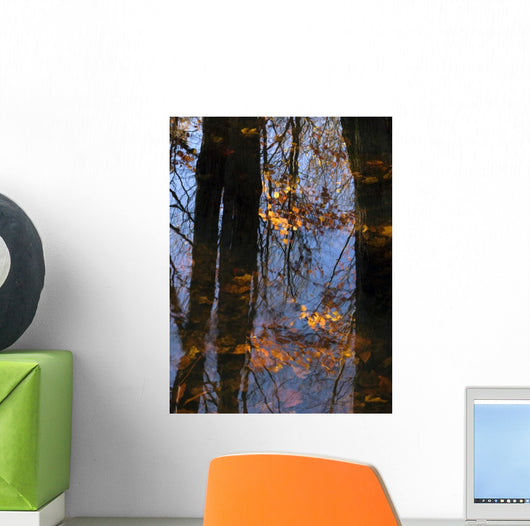 Tree Reflections Water Wall Decal Design 2