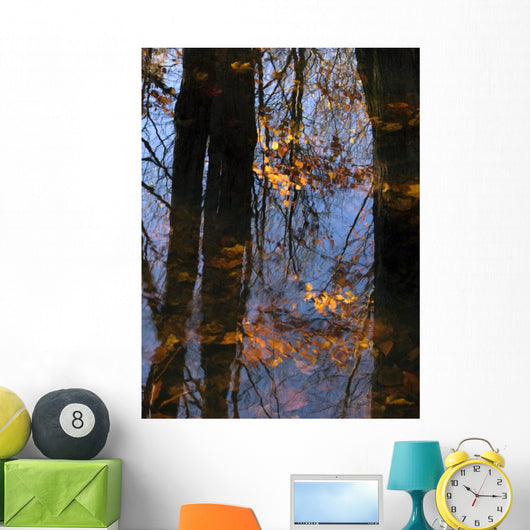 Tree Reflections Water Wall Decal Design 2