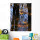 Tree Reflections Water Wall Decal Design 2