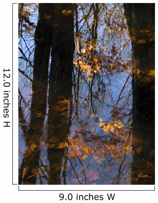 Tree Reflections Water Wall Decal Design 2