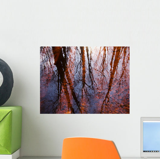 Tree Reflections Water Wall Decal Design 1