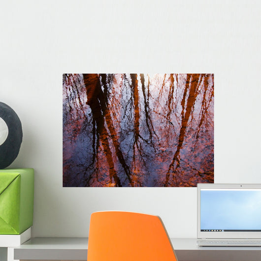 Tree Reflections Water Wall Decal Design 1