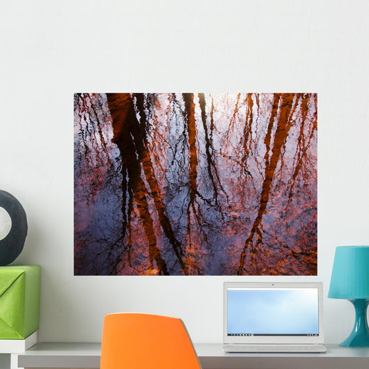 Tree Reflections Water Wall Decal Design 1