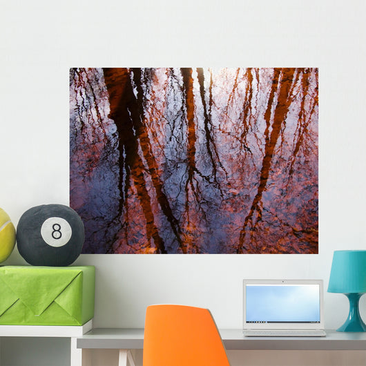 Tree Reflections Water Wall Decal Design 1