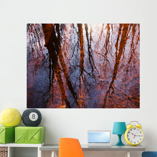 Tree Reflections Water Wall Decal Design 1