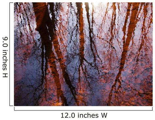Tree Reflections Water Wall Decal Design 1