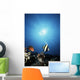 USA with Sunburst Wall Decal
