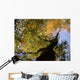 Colorful Glassy Reflections Water Wall Decal Design 2