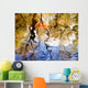 Colorful Glassy Reflections Water Wall Decal Design 1