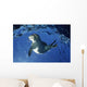 USA Hawaii Maui Monk Wall Decal