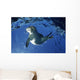 USA Hawaii Maui Monk Wall Decal