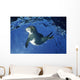 USA Hawaii Maui Monk Wall Decal
