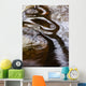 Ripples and Reflections Water Wall Decal Design 4