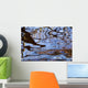 Ripples and Reflections Water Wall Decal Design 1