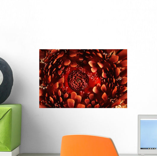 USA up Ventral Side Wall Decal