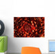 USA up Ventral Side Wall Decal