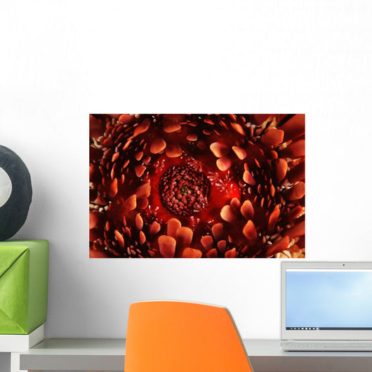 USA up Ventral Side Wall Decal