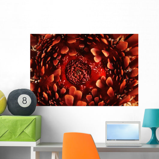 USA up Ventral Side Wall Decal