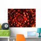 USA up Ventral Side Wall Decal