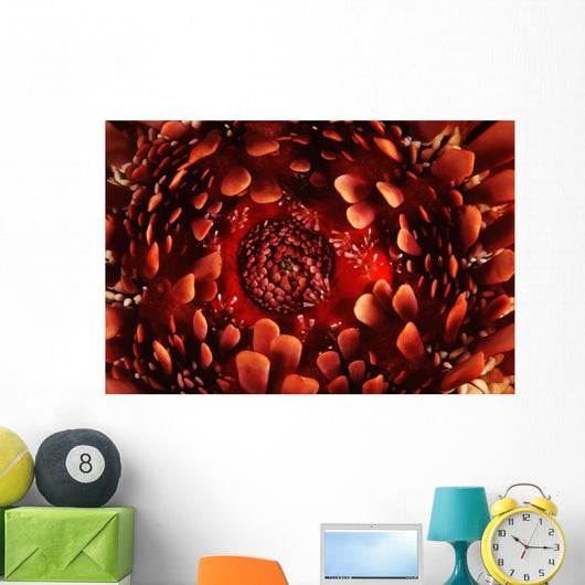 USA up Ventral Side Wall Decal